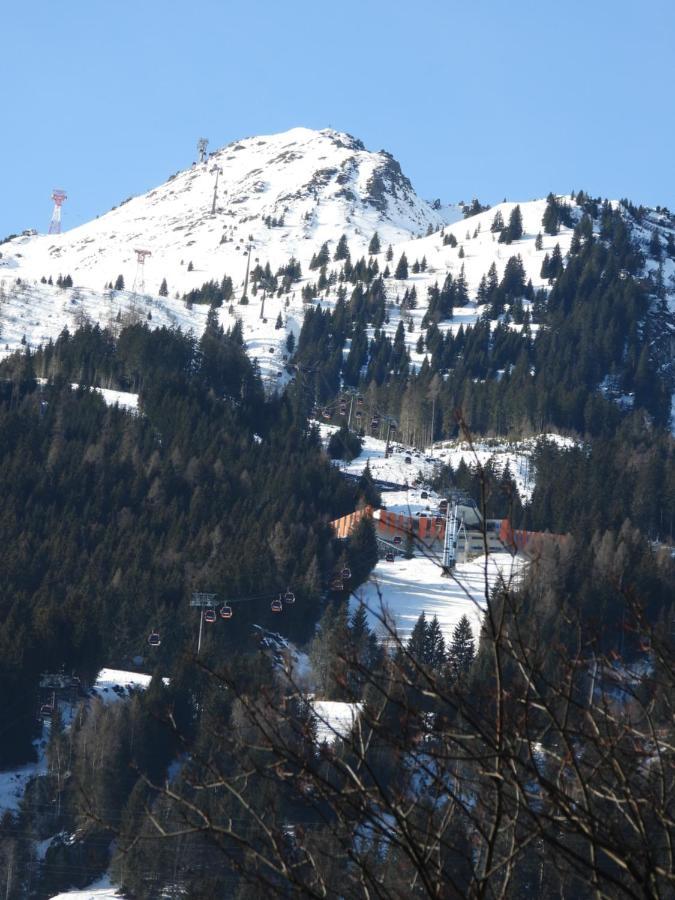 Haus Alpengold Daire Bad Hofgastein Dış mekan fotoğraf